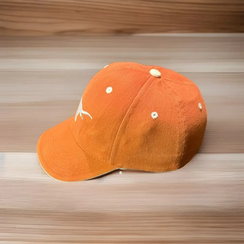 Vintage Texas Longhorns Ball Cap,‎ GUC